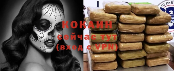 индика Карпинск