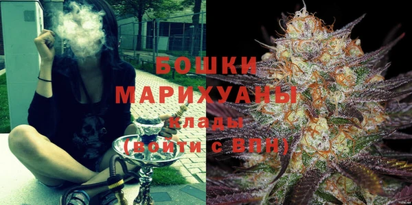 индика Карпинск