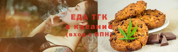 индика Карпинск