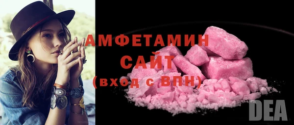 индика Карпинск