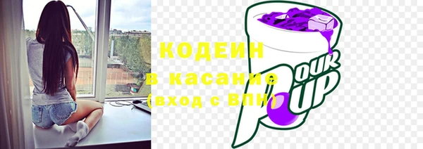 индика Карпинск