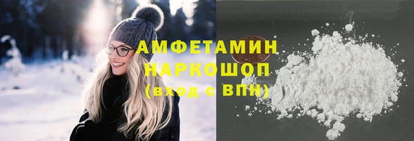 индика Карпинск