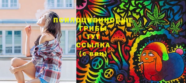 скорость Касимов