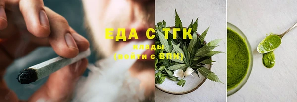 индика Карпинск
