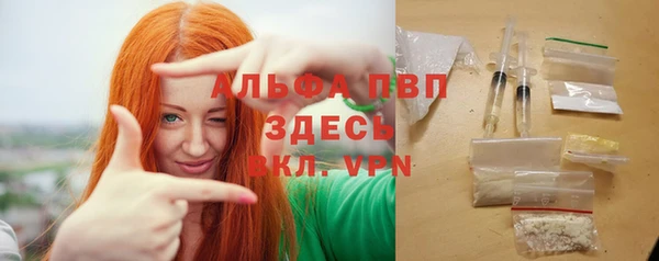 индика Карпинск