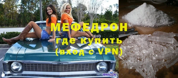 индика Карпинск