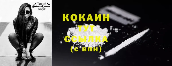 индика Карпинск