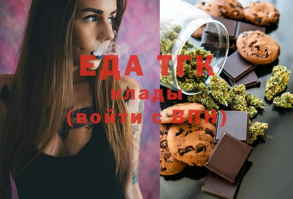 индика Карпинск