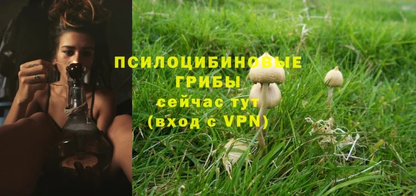 индика Карпинск