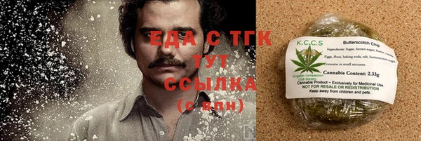 индика Карпинск