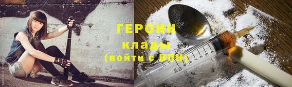 индика Карпинск