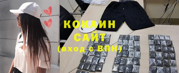 индика Карпинск