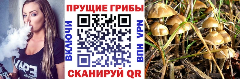Галлюциногенные грибы GOLDEN TEACHER  Купить закладки  Володарск 